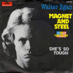 Walter Egan's Magnet and Steel